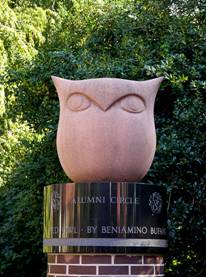 Image result for Temple Owl statue